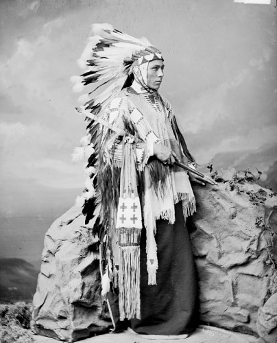 http://www.american-tribes.com/messageboards/dietmar/1877WilliamGarnett.jpg
