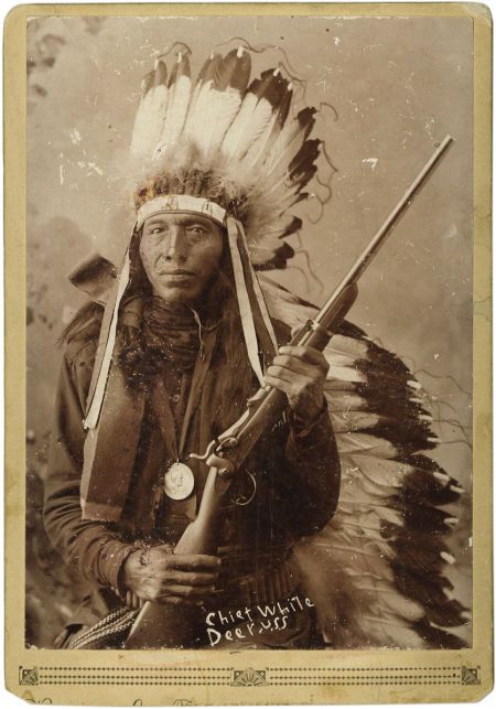 http://www.american-tribes.com/messageboards/dietmar/WhiteDeer.jpg