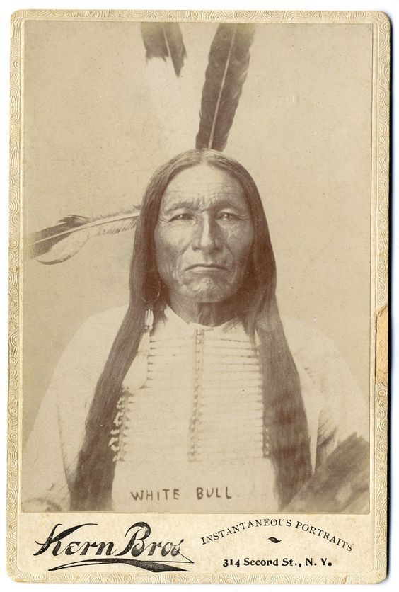 http://www.american-tribes.com/messageboards/dietmar/whitebull5.jpg