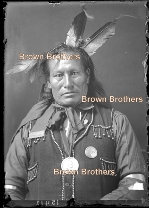 http://www.american-tribes.com/messageboards/dietmar/xLongHorn.jpg