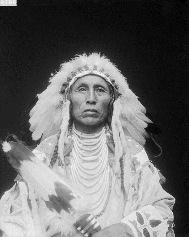 Medicine Crow