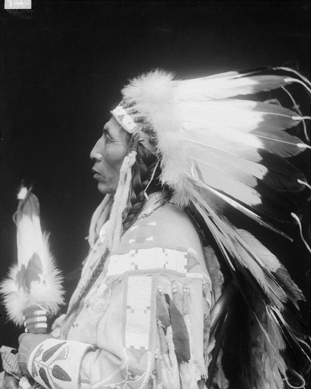 Medicine Crow