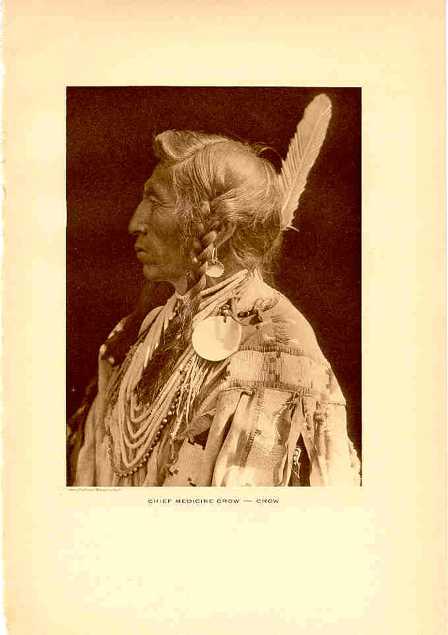 Medicine Crow