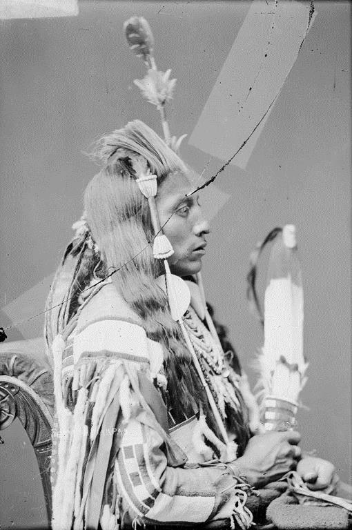 Medicine Crow