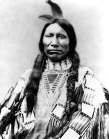 American Horse