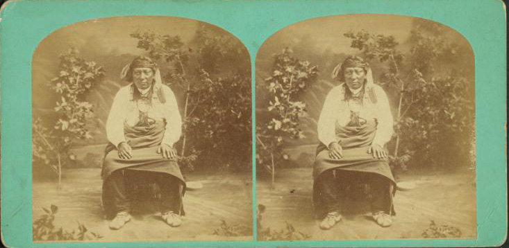 Hoyt & Hamilton photo of Red Dog, 1872